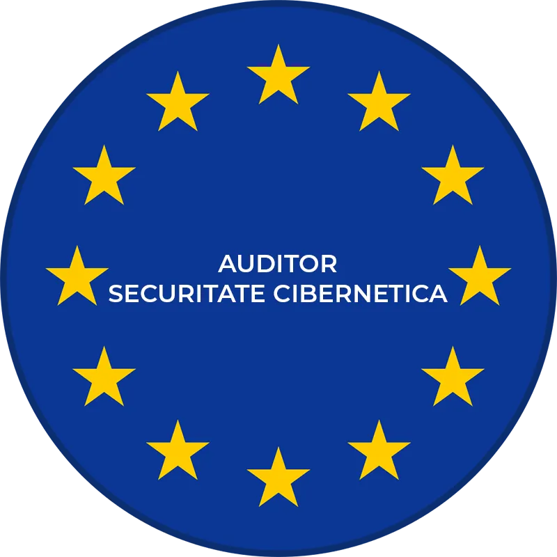 Cybersecurity Auditor